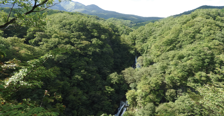 日光・霧降の滝