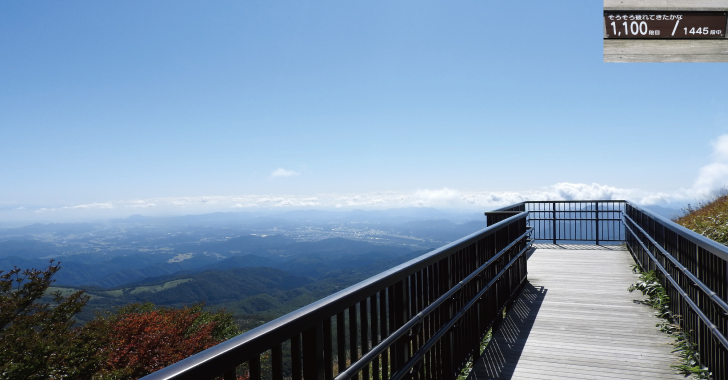小丸山展望台への遊歩道Ｐ地点